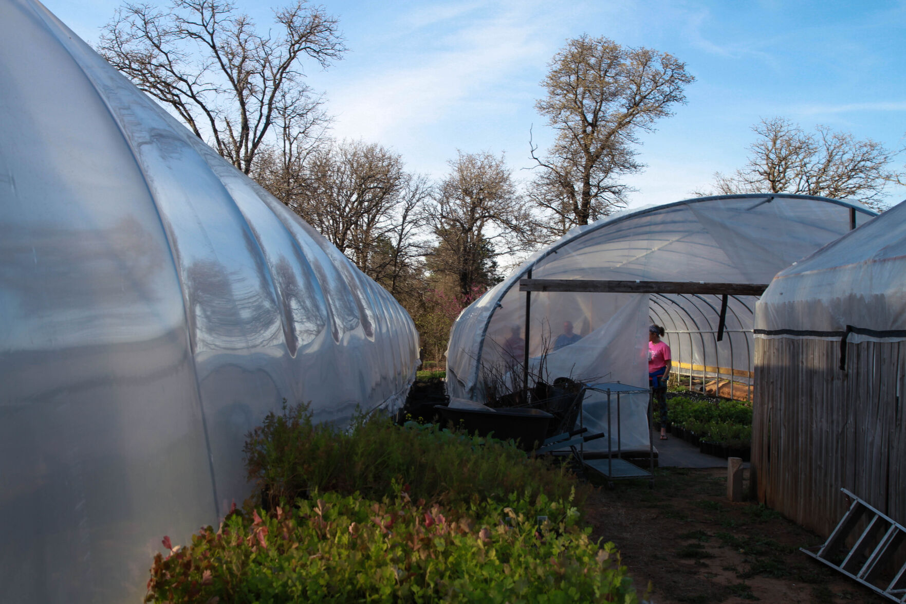 greenhouses